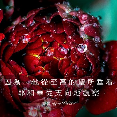 Picture 03 - 詩 篇 102:19 CUVT - 因 為 ， 他 從 至 高 的 聖 所 垂 看 - Bible Verse Picture