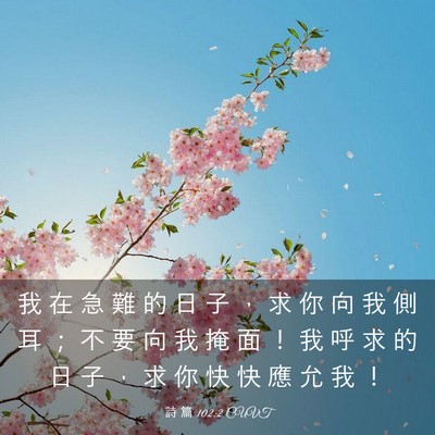 Picture 03 - 詩 篇 102:2 CUVT - 我 在 急 難 的 日 子 ， 求 你 向 我 - Bible Verse Picture