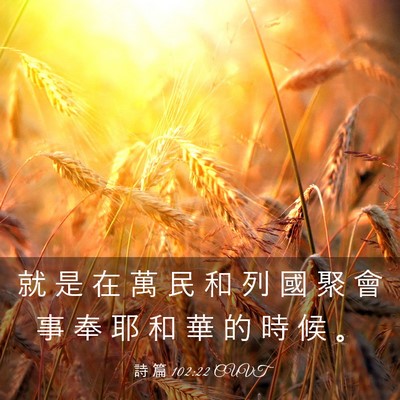 Picture 03 - 詩 篇 102:22 CUVT - 就 是 在 萬 民 和 列 國 聚 會 事 奉 - Bible Verse Picture