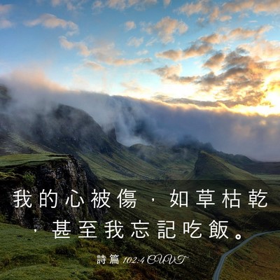 Picture 03 - 詩 篇 102:4 CUVT - 我 的 心 被 傷 ， 如 草 枯 乾 ， 甚 - Bible Verse Picture