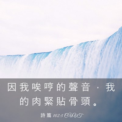 Picture 03 - 詩 篇 102:5 CUVT - 因 我 唉 哼 的 聲 音 ， 我 的 肉 緊 - Bible Verse Picture
