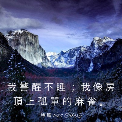 Picture 03 - 詩 篇 102:7 CUVT - 我 警 醒 不 睡 ； 我 像 房 頂 上 孤 - Bible Verse Picture