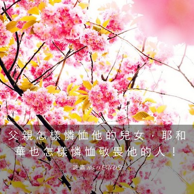 Picture 03 - 詩 篇 103:13 CUVT - 父 親 怎 樣 憐 恤 他 的 兒 女 ， 耶 - Bible Verse Picture