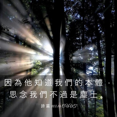 Picture 03 - 詩 篇 103:14 CUVT - 因 為 他 知 道 我 們 的 本 體 ， 思 - Bible Verse Picture