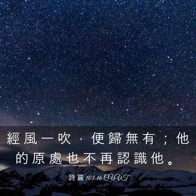 Picture 03 - 詩 篇 103:16 CUVT - 經 風 一 吹 ， 便 歸 無 有 ； 他 的 - Bible Verse Picture