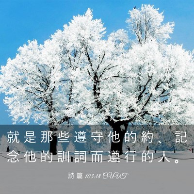 Picture 03 - 詩 篇 103:18 CUVT - 就 是 那 些 遵 守 他 的 約 、 記 念 - Bible Verse Picture