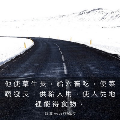 Picture 03 - 詩 篇 104:14 CUVT - 他 使 草 生 長 ， 給 六 畜 吃 ， 使 - Bible Verse Picture