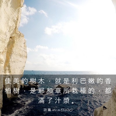 Picture 03 - 詩 篇 104:16 CUVT - 佳 美 的 樹 木 ， 就 是 利 巴 嫩 的 - Bible Verse Picture