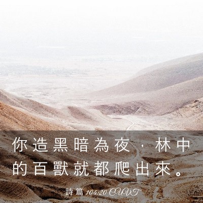 Picture 03 - 詩 篇 104:20 CUVT - 你 造 黑 暗 為 夜 ， 林 中 的 百 獸 - Bible Verse Picture
