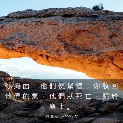 Picture 03 - 詩 篇 104:29 CUVT - 你 掩 面 ， 他 們 便 驚 惶 ； 你 收 - Bible Verse Picture