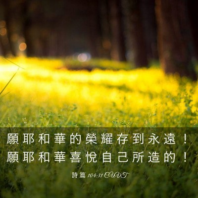 Picture 03 - 詩 篇 104:31 CUVT - 願 耶 和 華 的 榮 耀 存 到 永 遠 ！ - Bible Verse Picture