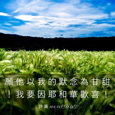Picture 03 - 詩 篇 104:34 CUVT - 願 他 以 我 的 默 念 為 甘 甜 ！ 我 - Bible Verse Picture