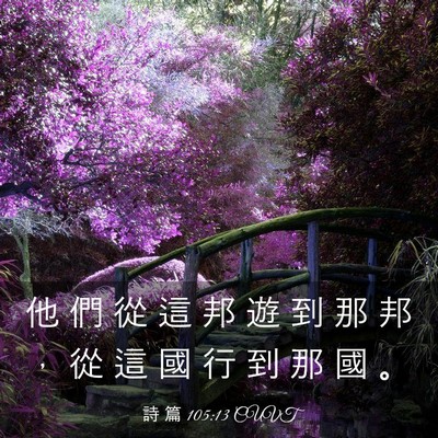 Picture 03 - 詩 篇 105:13 CUVT - 他 們 從 這 邦 遊 到 那 邦 ， 從 這 - Bible Verse Picture