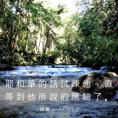 Picture 03 - 詩 篇 105:19 CUVT - 耶 和 華 的 話 試 煉 他 ， 直 等 到 - Bible Verse Picture