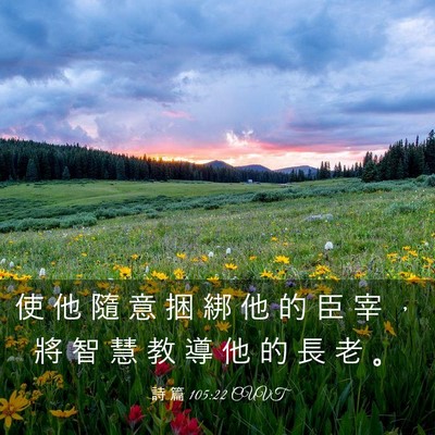 Picture 03 - 詩 篇 105:22 CUVT - 使 他 隨 意 捆 綁 他 的 臣 宰 ， 將 - Bible Verse Picture