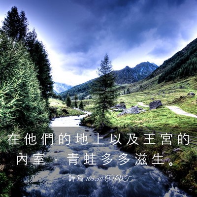 Picture 03 - 詩 篇 105:30 CUVT - 在 他 們 的 地 上 以 及 王 宮 的 內 - Bible Verse Picture