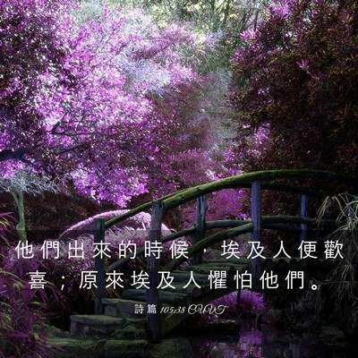 Picture 03 - 詩 篇 105:38 CUVT - 他 們 出 來 的 時 候 ， 埃 及 人 便 - Bible Verse Picture
