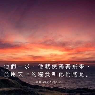 Picture 03 - 詩 篇 105:40 CUVT - 他 們 一 求 ， 他 就 使 鵪 鶉 飛 來 - Bible Verse Picture