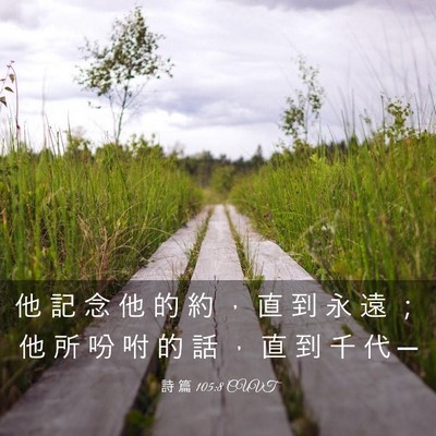 Picture 03 - 詩 篇 105:8 CUVT - 他 記 念 他 的 約 ， 直 到 永 遠 ； - Bible Verse Picture