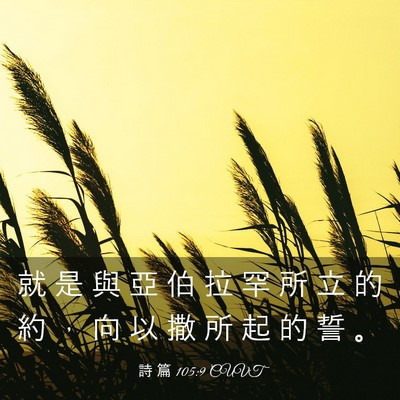 Picture 03 - 詩 篇 105:9 CUVT - 就 是 與 亞 伯 拉 罕 所 立 的 約 ， - Bible Verse Picture