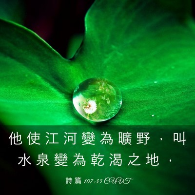 Picture 03 - 詩 篇 107:33 CUVT - 他 使 江 河 變 為 曠 野 ， 叫 水 泉 - Bible Verse Picture