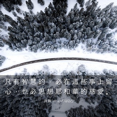 Picture 03 - 詩 篇 107:43 CUVT - 凡 有 智 慧 的 ， 必 在 這 些 事 上 - Bible Verse Picture