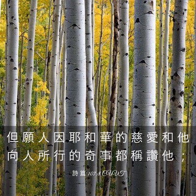 Picture 03 - 詩 篇 107:8 CUVT - 但 願 人 因 耶 和 華 的 慈 愛 和 他 - Bible Verse Picture