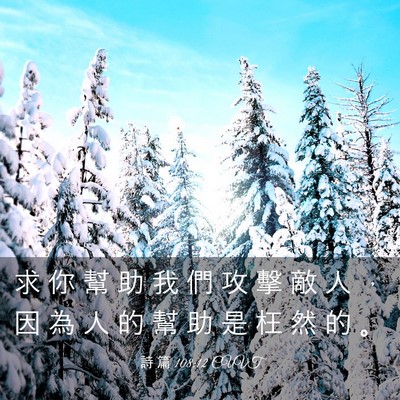 Picture 03 - 詩 篇 108:12 CUVT - 求 你 幫 助 我 們 攻 擊 敵 人 ， 因 - Bible Verse Picture