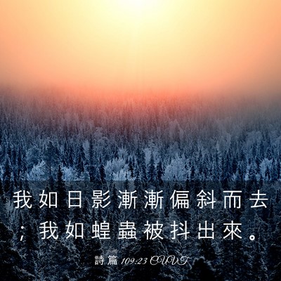 Picture 03 - 詩 篇 109:23 CUVT - 我 如 日 影 漸 漸 偏 斜 而 去 ； 我 - Bible Verse Picture