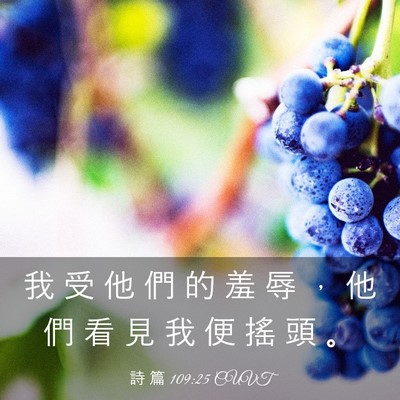 Picture 03 - 詩 篇 109:25 CUVT - 我 受 他 們 的 羞 辱 ， 他 們 看 見 - Bible Verse Picture