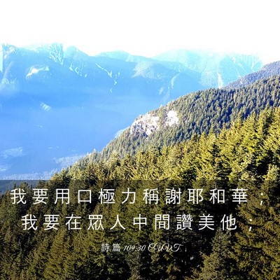 Picture 03 - 詩 篇 109:30 CUVT - 我 要 用 口 極 力 稱 謝 耶 和 華 ； - Bible Verse Picture