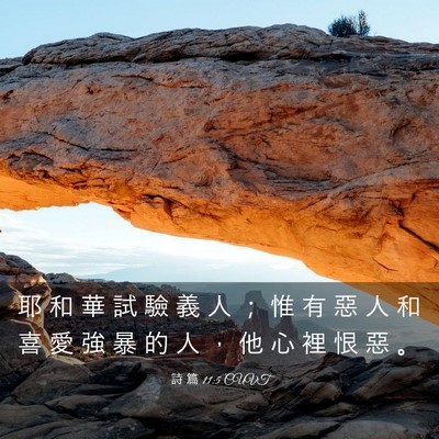 Picture 03 - 詩 篇 11:5 CUVT - 耶 和 華 試 驗 義 人 ； 惟 有 惡 人 - Bible Verse Picture