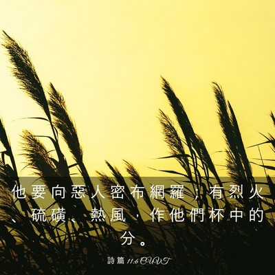 Picture 03 - 詩 篇 11:6 CUVT - 他 要 向 惡 人 密 布 網 羅 ； 有 烈 - Bible Verse Picture