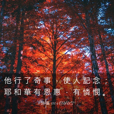 Picture 03 - 詩 篇 111:4 CUVT - 他 行 了 奇 事 ， 使 人 記 念 ； 耶 - Bible Verse Picture