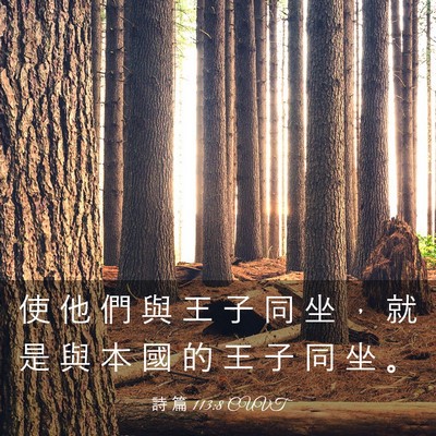 Picture 03 - 詩 篇 113:8 CUVT - 使 他 們 與 王 子 同 坐 ， 就 是 與 - Bible Verse Picture