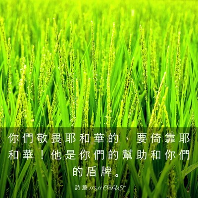 Picture 03 - 詩 篇 115:11 CUVT - 你 們 敬 畏 耶 和 華 的 ， 要 倚 靠 - Bible Verse Picture