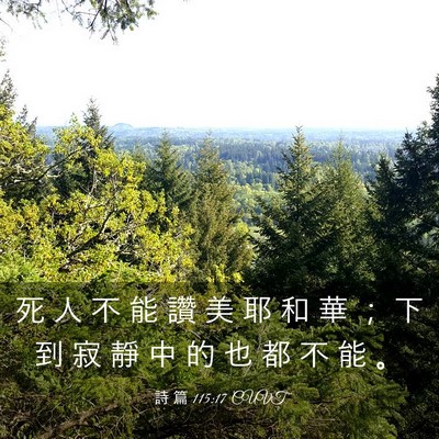 Picture 03 - 詩 篇 115:17 CUVT - 死 人 不 能 讚 美 耶 和 華 ； 下 到 - Bible Verse Picture