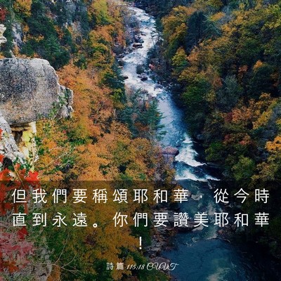 Picture 03 - 詩 篇 115:18 CUVT - 但 我 們 要 稱 頌 耶 和 華 ， 從 今 - Bible Verse Picture