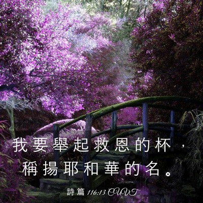 Picture 03 - 詩 篇 116:13 CUVT - 我 要 舉 起 救 恩 的 杯 ， 稱 揚 耶 - Bible Verse Picture