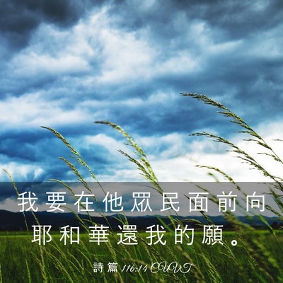 Picture 03 - 詩 篇 116:14 CUVT - 我 要 在 他 眾 民 面 前 向 耶 和 華 - Bible Verse Picture