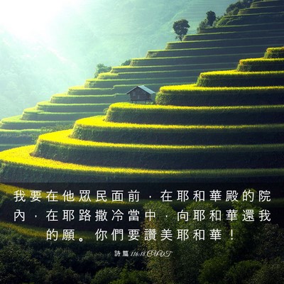 Picture 03 - 詩 篇 116:18 CUVT - 我 要 在 他 眾 民 面 前 ， 在 耶 和 - Bible Verse Picture