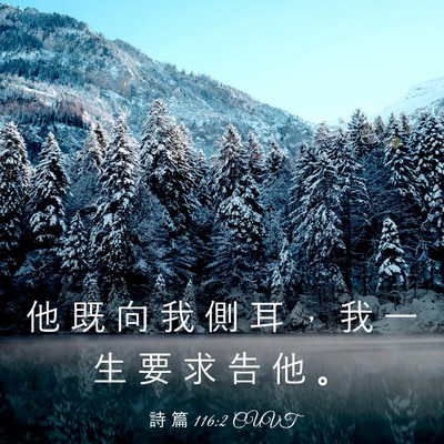 Picture 03 - 詩 篇 116:2 CUVT - 他 既 向 我 側 耳 ， 我 一 生 要 求 - Bible Verse Picture