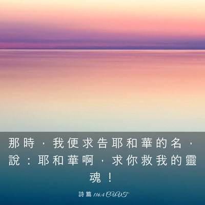Picture 03 - 詩 篇 116:4 CUVT - 那 時 ， 我 便 求 告 耶 和 華 的 名 - Bible Verse Picture