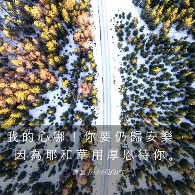 Picture 03 - 詩 篇 116:7 CUVT - 我 的 心 哪 ！ 你 要 仍 歸 安 樂 ， - Bible Verse Picture