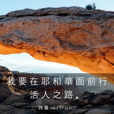 Picture 03 - 詩 篇 116:9 CUVT - 我 要 在 耶 和 華 面 前 行 活 人 之 - Bible Verse Picture