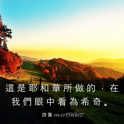 Picture 03 - 詩 篇 118:23 CUVT - 這 是 耶 和 華 所 做 的 ， 在 我 們 - Bible Verse Picture