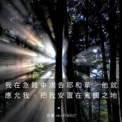 Picture 03 - 詩 篇 118:5 CUVT - 我 在 急 難 中 求 告 耶 和 華 ， 他 - Bible Verse Picture