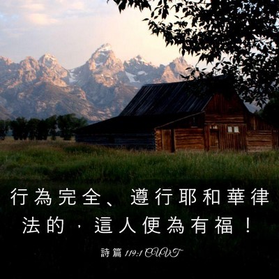 Picture 03 - 詩 篇 119:1 CUVT - 行 為 完 全 、 遵 行 耶 和 華 律 法 - Bible Verse Picture