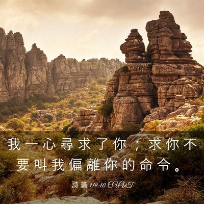 Picture 03 - 詩 篇 119:10 CUVT - 我 一 心 尋 求 了 你 ； 求 你 不 要 - Bible Verse Picture