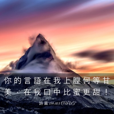 Picture 03 - 詩 篇 119:103 CUVT - 你 的 言 語 在 我 上 膛 何 等 甘 美 - Bible Verse Picture
